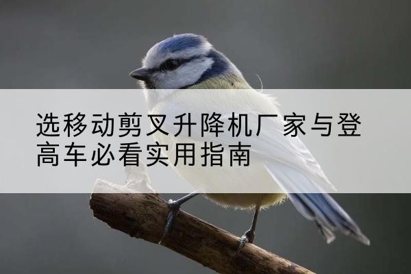 南阳电动升降机厂家-选移动剪叉升降机厂家与登高车必看实用指南