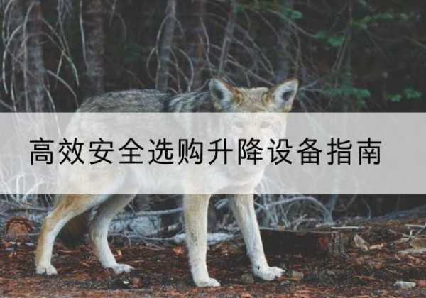南阳升降货梯厂家推荐-*安全选购升降设备指南
