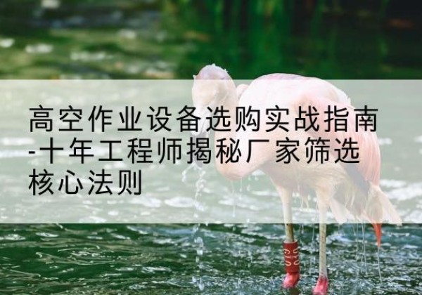 南阳剪叉式升降机厂家-高空作业设备选购实战指南-十年工程师揭秘厂家筛选核心法则