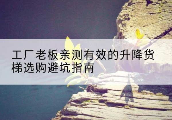 南阳升降货梯怎么选-工厂老板亲测有效的升降货梯选购避坑指南